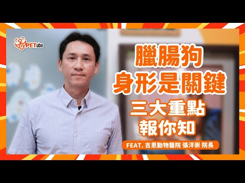 臘腸狗身形是關鍵🐶三大重點報你知💡Feat.張泮崇院長【哈寵小學堂】｜#哈寵PETube 第306集