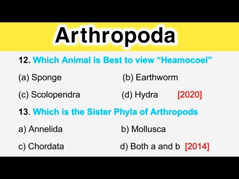 Arthropoda Class 11 MCQ || Most Repeated Questions || Animal Kingdom MCQ || NEET 2023