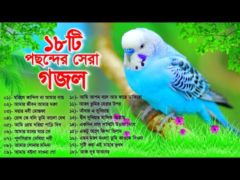 জীবনের সেরা ১৮টি পছন্দের গজল | Top & Best 18 Selected Bangla Gojol | বাংলা গজল | Madani Gajal TV