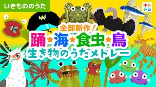 全部新作！生き物のうたメドレー（踊・海・食虫・鳥）