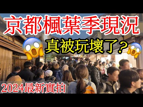 【日本旅遊】京都楓葉季真的被玩壞了嗎？😱2024年京都紅葉季實拍・日本京都秋天賞楓自由行・嵐山・清水寺・京都景點・京都現況・京都旅遊・日本自由行・真如堂・南禪寺・二尊院・京都旅遊攻略・日本獨旅京都獨旅