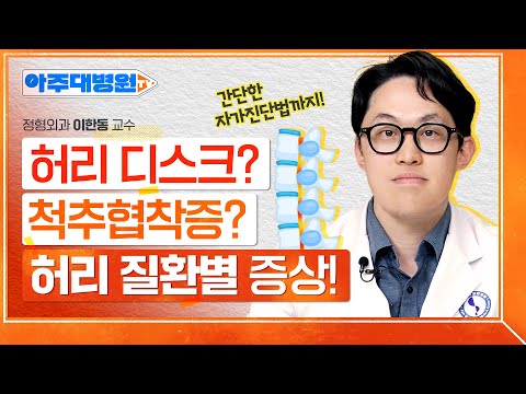 ⚠허리 아픈 사람⚠ 함부로 허리 강화 운동 절대 금지🚫 단계별, 질환별로 알려드립니다☝ 정형외과 이한동 교수 [아주대병원TV]