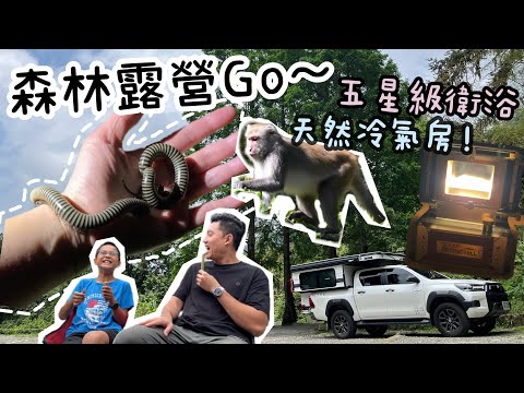 營位費百元起跳任君挑選‼️｜豐富生態猴子當鄰居｜超大車露區還能搭帳｜蟬說溪頭生態露營區｜94MONSTER 100W極速車充｜妖怪村｜春山觀火爐