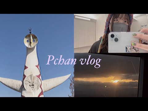 【日常vlog】お正月の日常|お正月ユニバ|初日の出|お買い物|京都で初詣