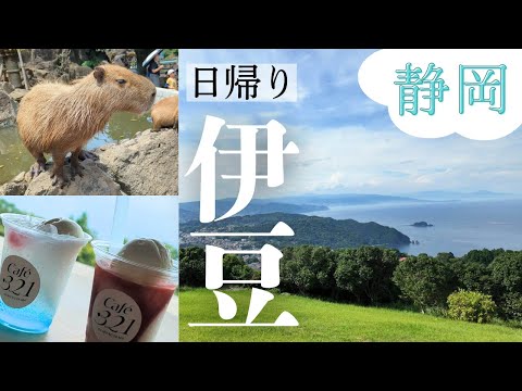 【伊豆】疲れた心をほぐす☺️ゆるり日帰り癒し旅｜伊豆シャボテン動物公園｜小室山リッジウォークMISORA｜静岡