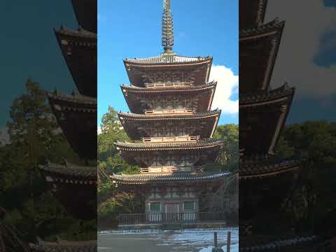 京都醍醐寺202301 #shorts