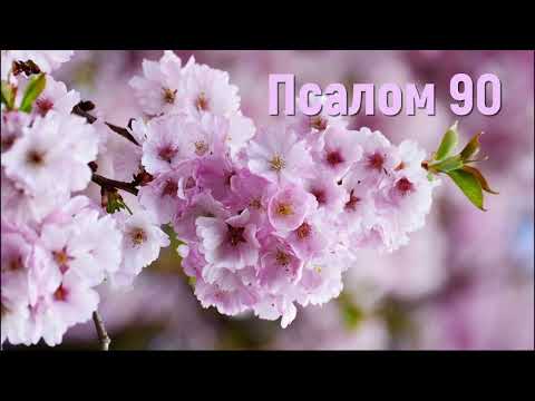 Псалом 90 - Псалтырь - Библия #псалом90 #псалтырь #библия