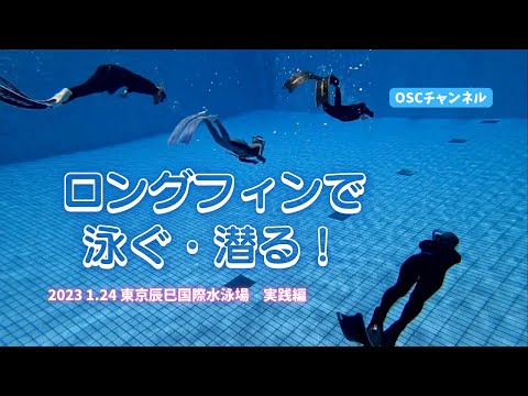 ロングフィンで泳ぐ・潜る！フィンキックを練習してロングフィンを使いこなそう！OSCスキンダイビング講習会（実践編）の練習風景（フォームチェック動画） in 東京辰巳国際水泳場