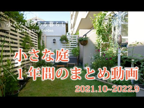 ガーデニング｜祝２周年　小庭の１年を振り返ります｜ 〜小さな庭のある暮らし#92〜Gardening ｜ Life in a tiny garden