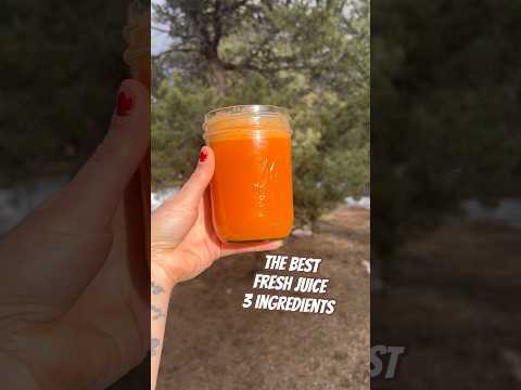 Today on the Homestead: Zesty Apple Carrot Ginger Juice | Energizing Healthy Homemade Drink #shorts