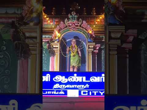 பழனி ஆண்டவர் கோவில் திருவாரூர். #travel #tn50 #travelvlog #tvr #travelvideo #tamil #murugan #love