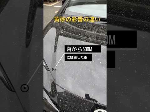 停めた場所による黄砂の影響の違い #黄砂 #黒い車 #駐車