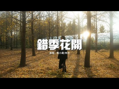 袁小葳/林亦 - 錯季花開『你看那開在春日裡的花，等不到秋的晚霞，像我等不到你啊。』【動態歌詞MV】