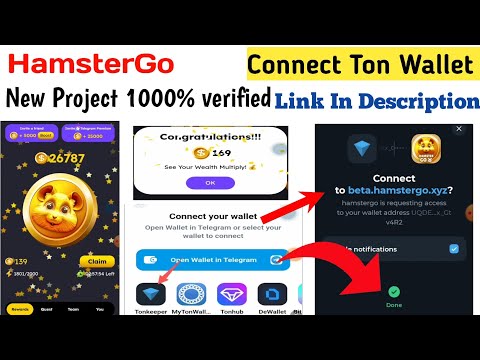 How To Connect Ton Wallet To HamsterGo | HamsterGo Bot