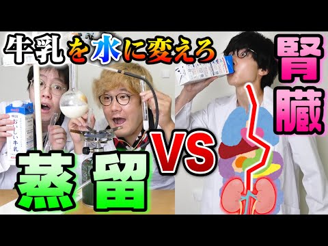 『蒸留vs腎臓』ならどっちの方が早く牛乳を透明な水にできるのぉ？？【人類の神秘】