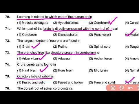 Nervous Control & Coordination MCQ for NEET |Class 11|Last minute Revision  | One Shot Video