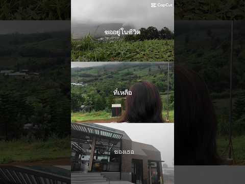 เขาค้อหน้าฝน  🌧หมอกจัดเต็ม #travel #goodvibe #hills #เขาค้อ #เพชรบูรณ์ #ไปรษณีย์เข้าค้อ  #ทะเลหมอก