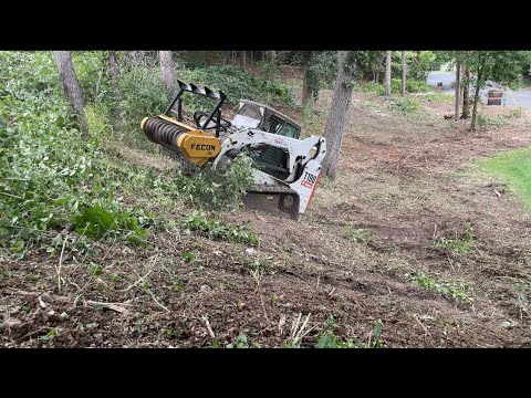 Minnesota Front Yard Mulching