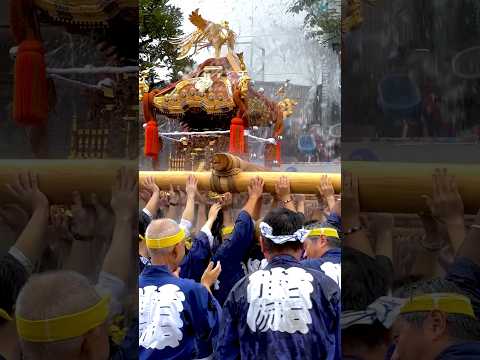 いつもより余計に水かけてます！6年ぶりの【深川八幡祭り】#shorts