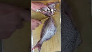 【魚捌きの基本】三枚おろし #shots