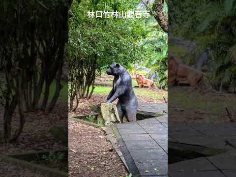 林口竹林山觀音寺