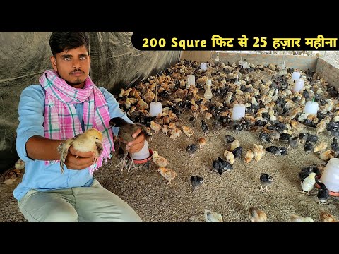 छोटा मुर्गी फार्म बनाकर 25 से 30 महीना कमाएं | Poultry farm business plan | chicken farm