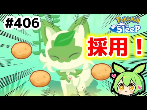 【睡眠リサーチ】＃406『そのニャオハ、採用！』【ポケモンスリープ/pokemon sleep】【無課金ゴプラ勢】【ゆっくり実況ずんだもん】