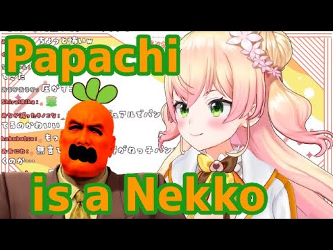 Nekko "Papachi Using Nekko Shorts!?" [Hololive/EN Sub][#桃鈴ねね]