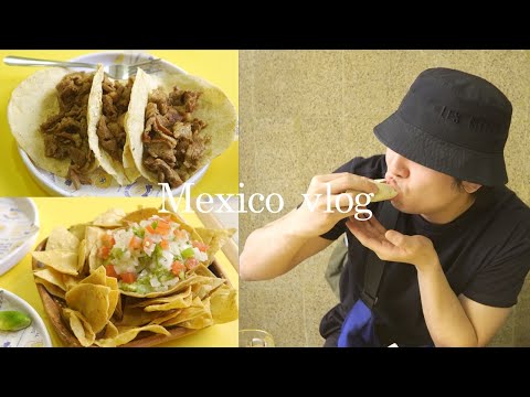 【vlog】メキシコでのんびりと過ごす1日