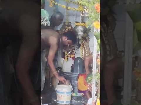 Karthika somavaram Shiva abhishekam