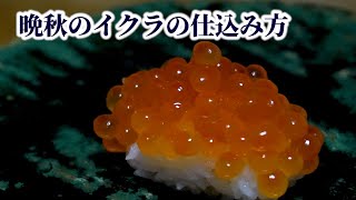 How to Prepare Late Autumn Ikura Salmon Caviar Without Using Hot Water【English subtitles】