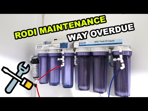 RODI Maintenance