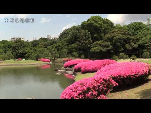 水面に映るピンクのコントラスト