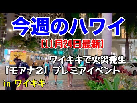 【今週のハワイ★１１月２４日最新版】１週間のハワイ情報をまとめてお届け♪これを見ればハワイの今がわかる！！