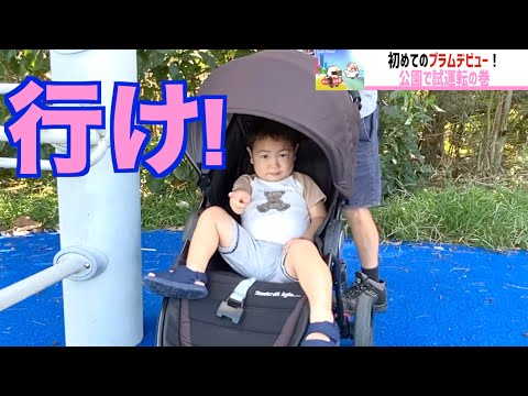 2歳初めてのプラムデビュー！オーストラリアの公園で試運転♪