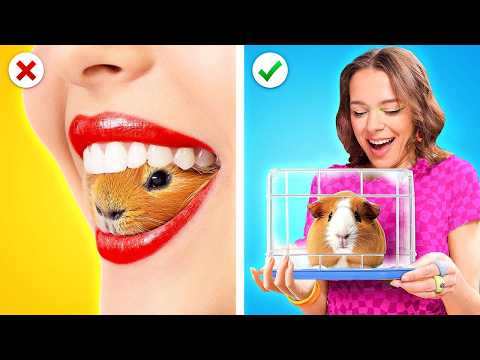 Pets Locked Up in Villain’s Jail: Superpowers Save the Day! – Epic Pet Rescue Adventure by CoCoGo!