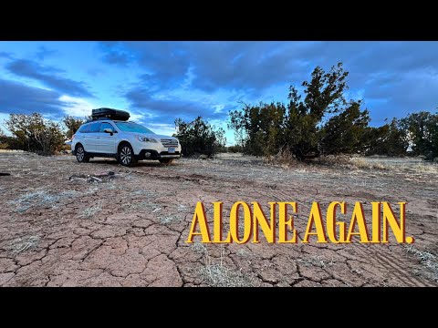 Back to solo female car camping (with a dog)