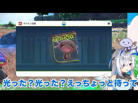 【奇跡】確率4096分の1の色違いを2時間半で2匹も出してしまうかなたそ【天音かなた】