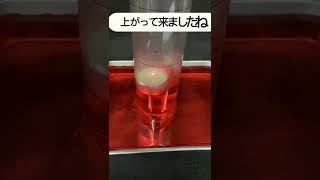 水面にキャンドルを浮かべて容器をかぶせると？