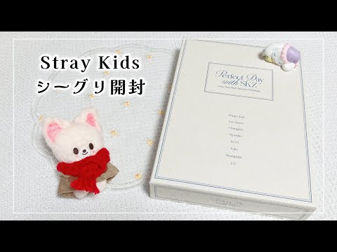 【購入品】Stray Kids 2024 Seasons Greetings [ Perfect Day with SKZ ] unboxing🎁【スキズ┊︎シーグリ】