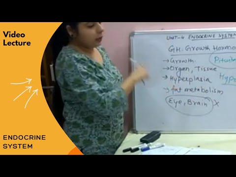 Endocrine System by Dr. Nikita