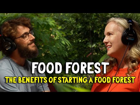 Here's What You Need If You Are Just Starting Your Food Forest