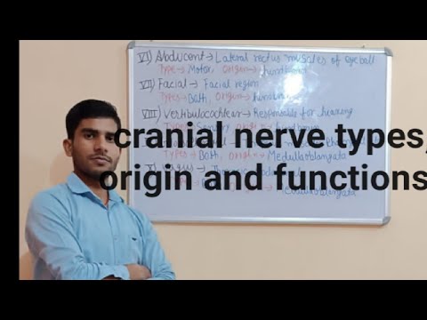 cranial nerve types, origin and functions in anatomy