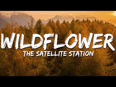 The Satellite Station - Wildflower (Lyrics)