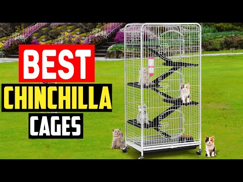 ✅Best Chinchilla Cages in 2023