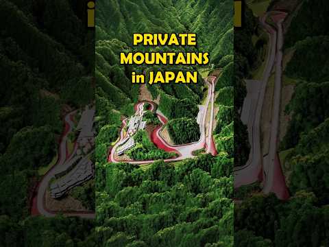 Businessman Turned Mountain Into a Race Track. #japan #carclub #millionaire