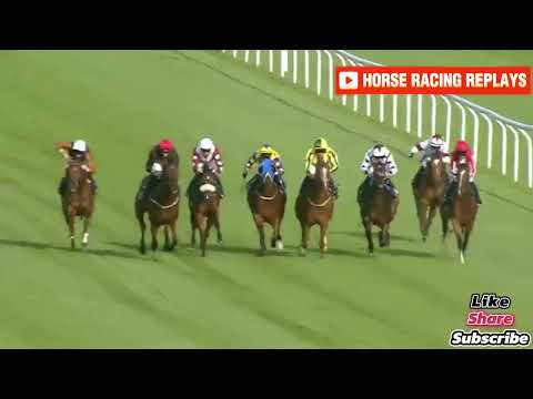 Sugar Hill Babe / 3 Race Ffos las 30 Jul 2024