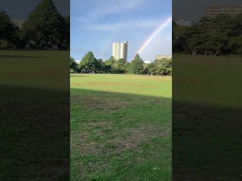 珍百景🌈　　　　　　　　　#japan #shortsvideo #news #world #レインボー🌈#amazing #Nature #beautiful