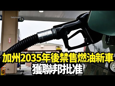 加州2035年後禁售燃油新車 獲聯邦批准｜今日加州