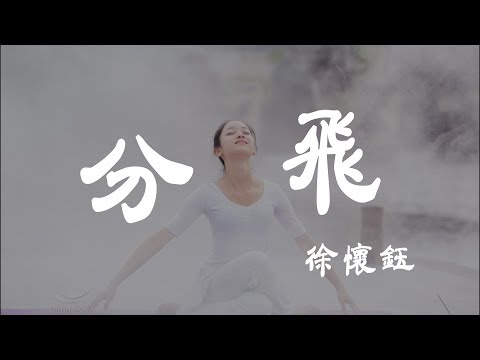 分飛 - 徐懷鈺 - 『超高无损音質』【動態歌詞Lyrics】